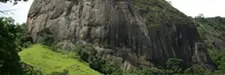 Natureza